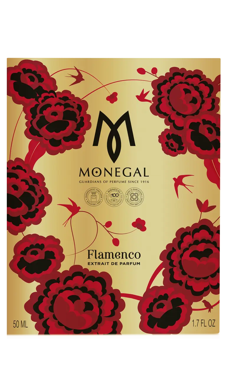 Flamenco - Extrait Ramon Monegal