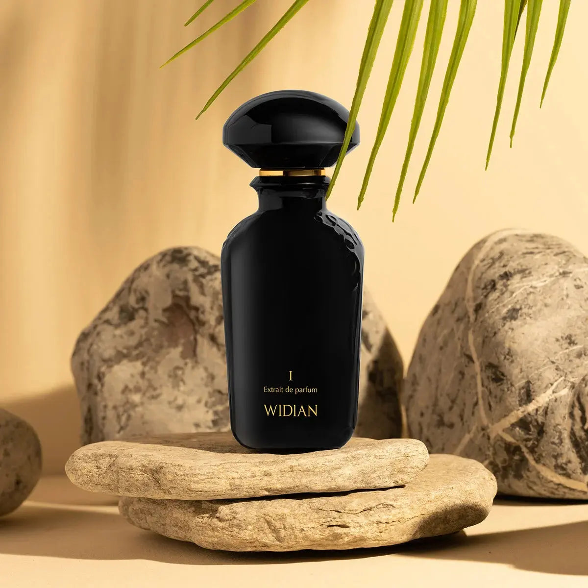 Black I Europea Network Beauty